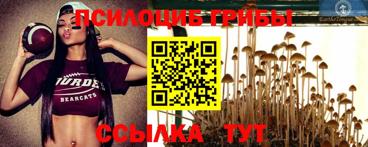Галлюциногенные грибы мухоморы  Псилоцибиновые грибы мухоморы  Россия  Вход с VPN 