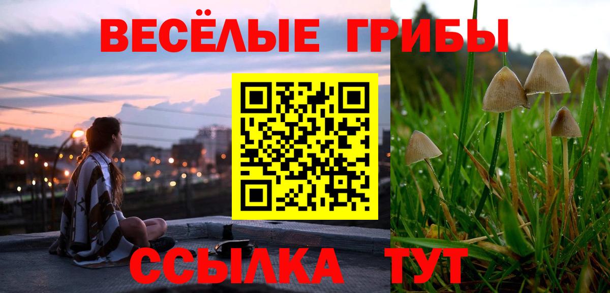 Псилоцибиновые грибы прущие грибы Россия