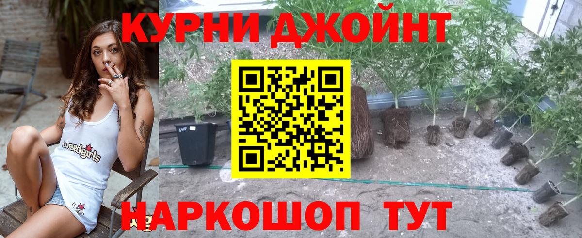 Бошки марихуана марихуана  Шишки марихуана индика  Вход с VPN  Россия  МАРИХУАНА Ganja 